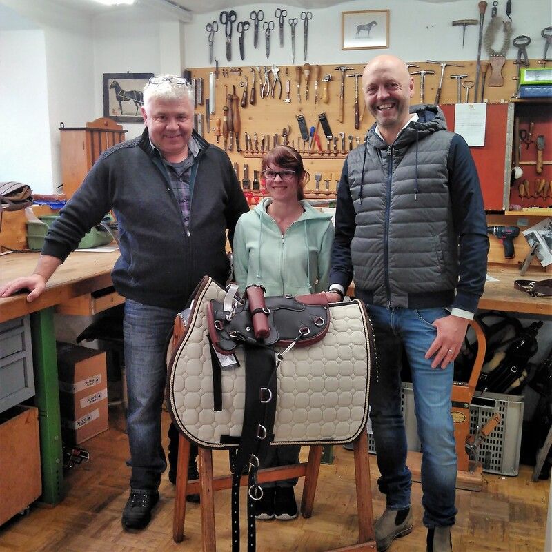 E & G Horsetrainer am Pferd, Detailansicht