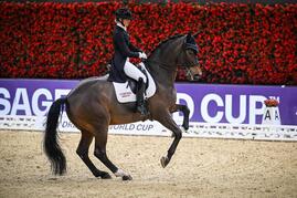 Andrina Suter mit Pferd — Prestige Ambassador