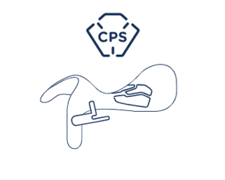 Sattelbaum-Skizze für Prestige Melody K CPS